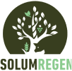 Solum Regen