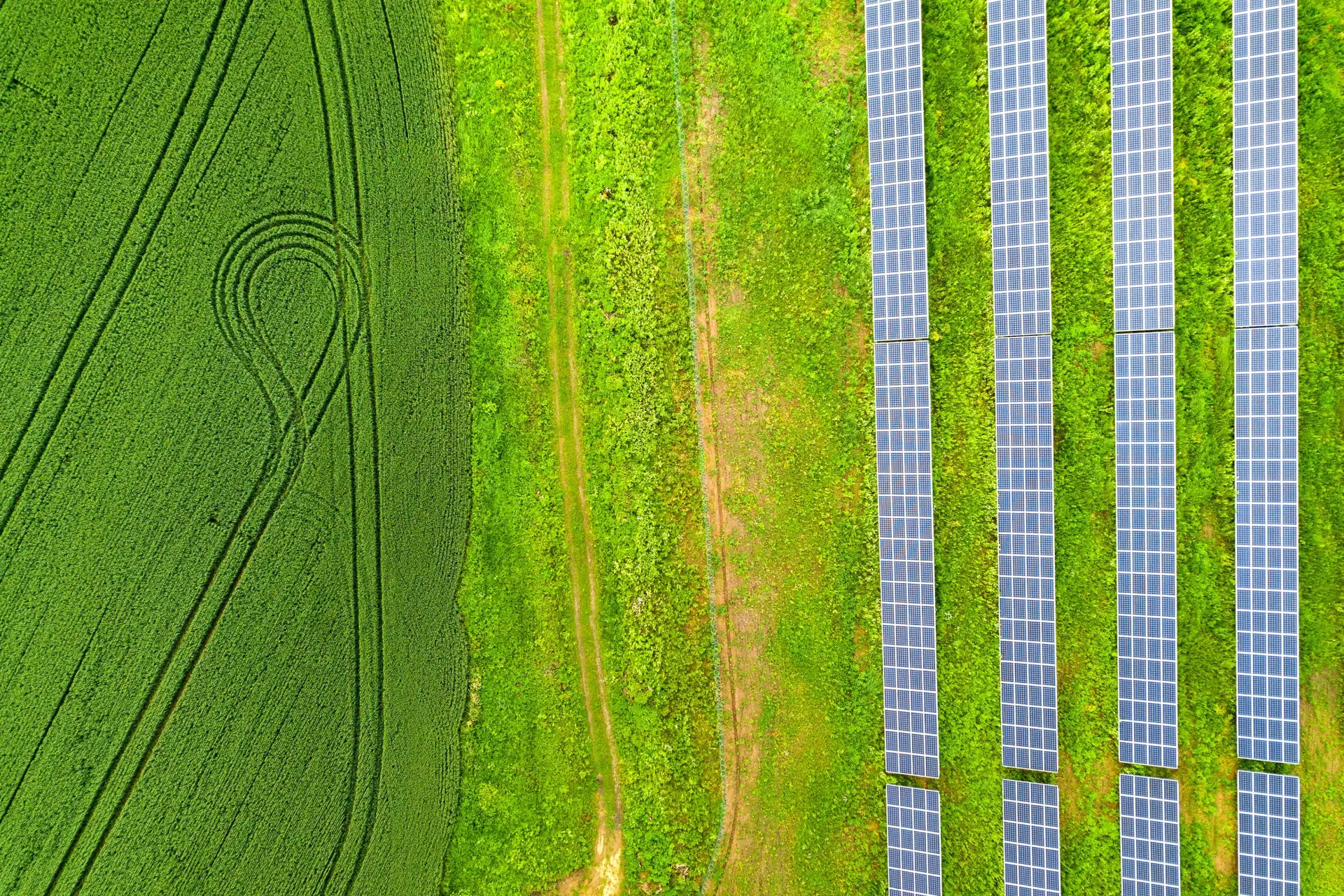 Aerial view of solar panels