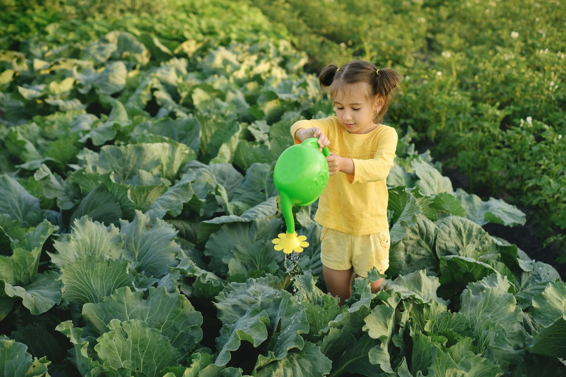 Girl watering crops