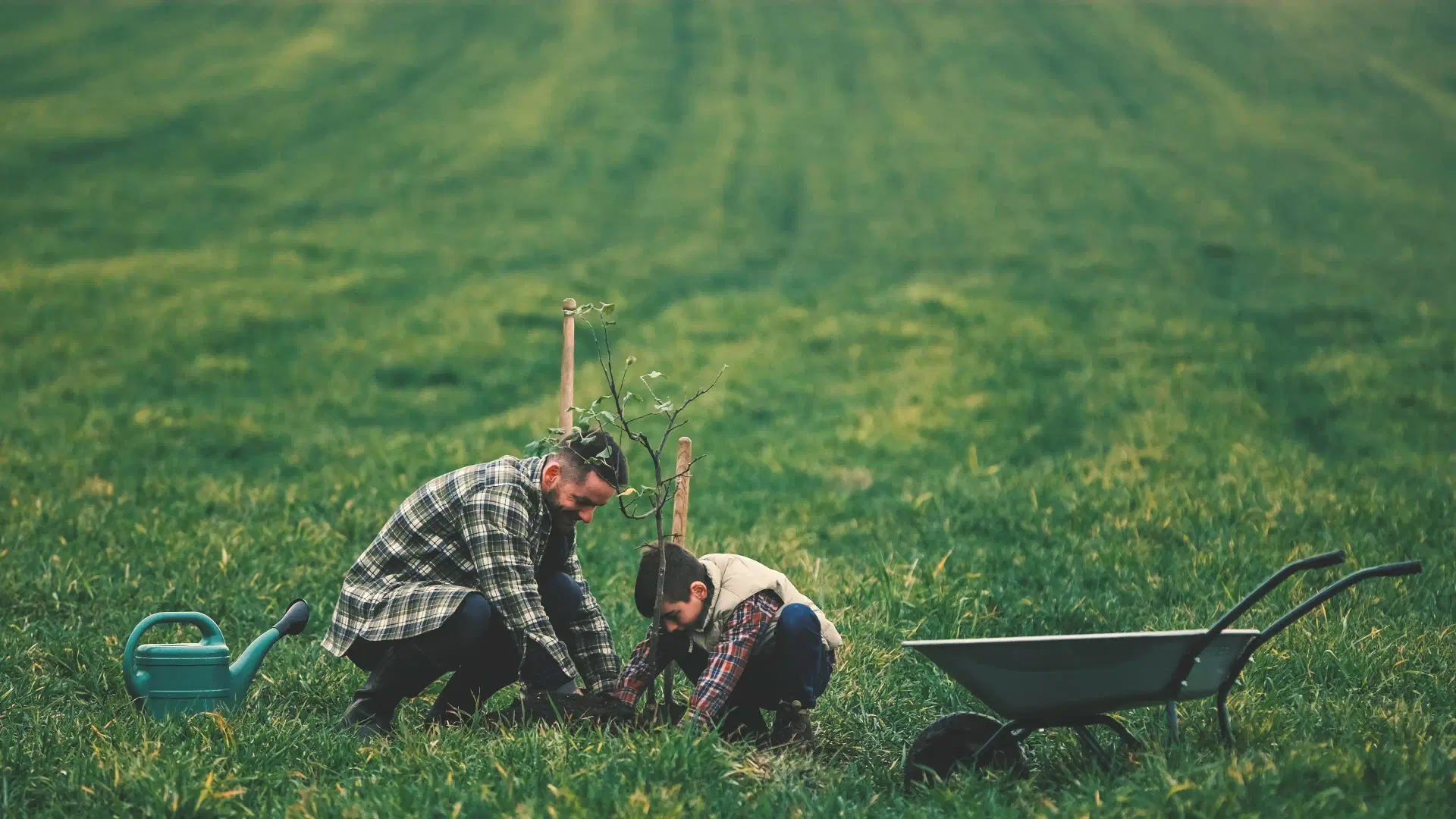 Father and son planting a tree